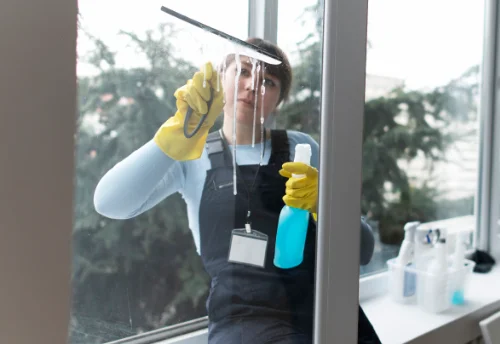Nettoyage de vitres intérieures et extérieures à Novy-Chevrières